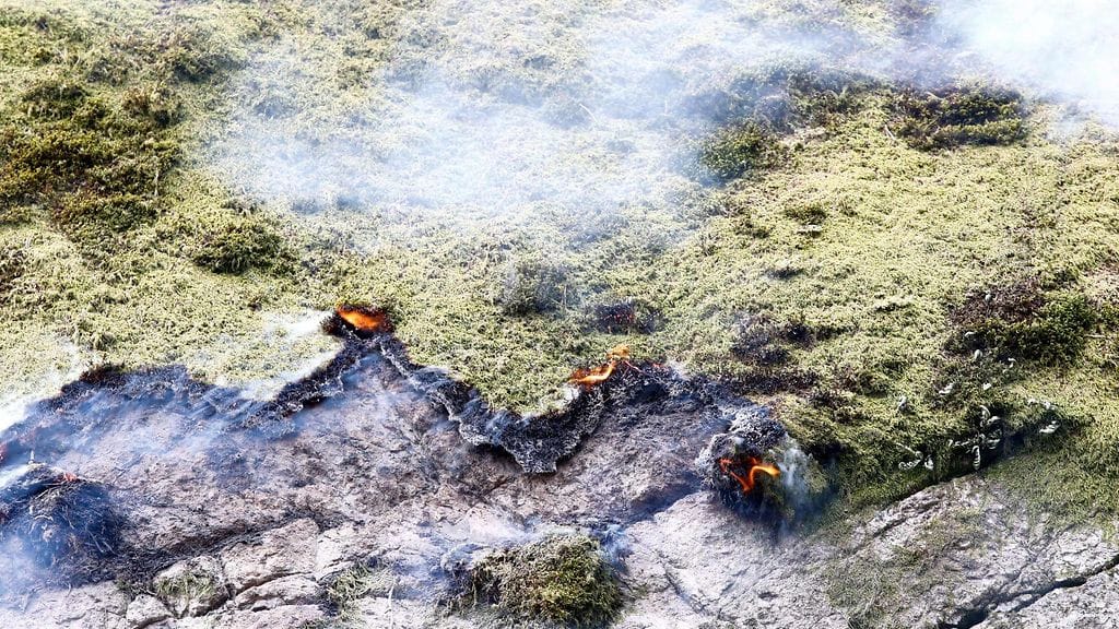 Tulta ja savua metsässä Norjan Sokndalissa. Useat ihmiset ovat joutuneet lähteä kotoaan palojen vuoksi.