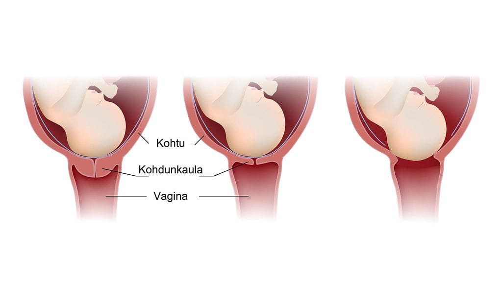 shutterstock_166170104