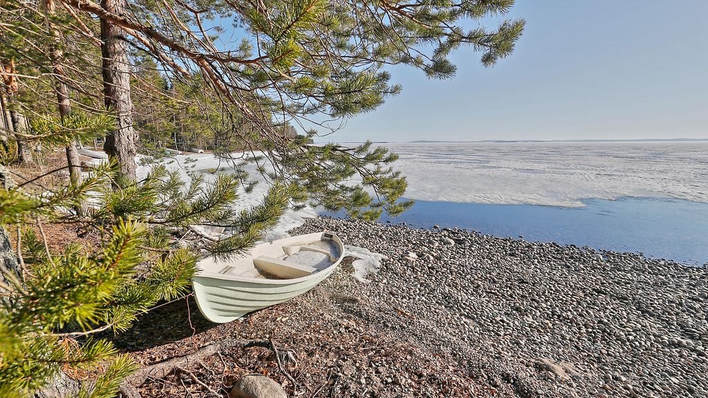 Kuvituskuvaa Pieliseltä Pohjois-Karjalasta.