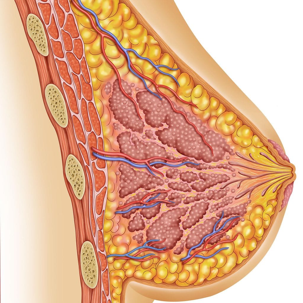 shutterstock_79599496