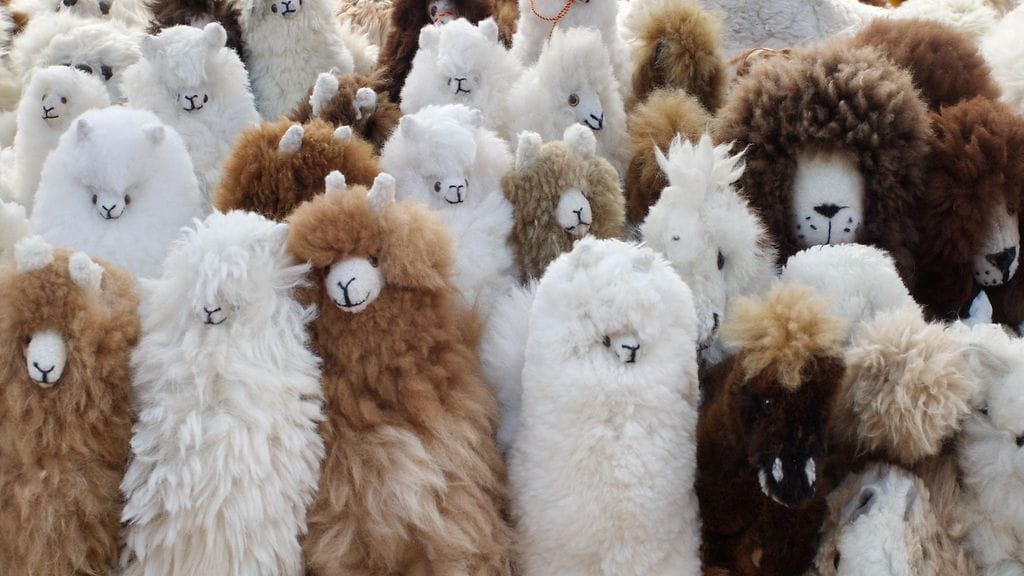 Laamaa esittävä pehmolelu osoittautui yllättävän härskiksi.