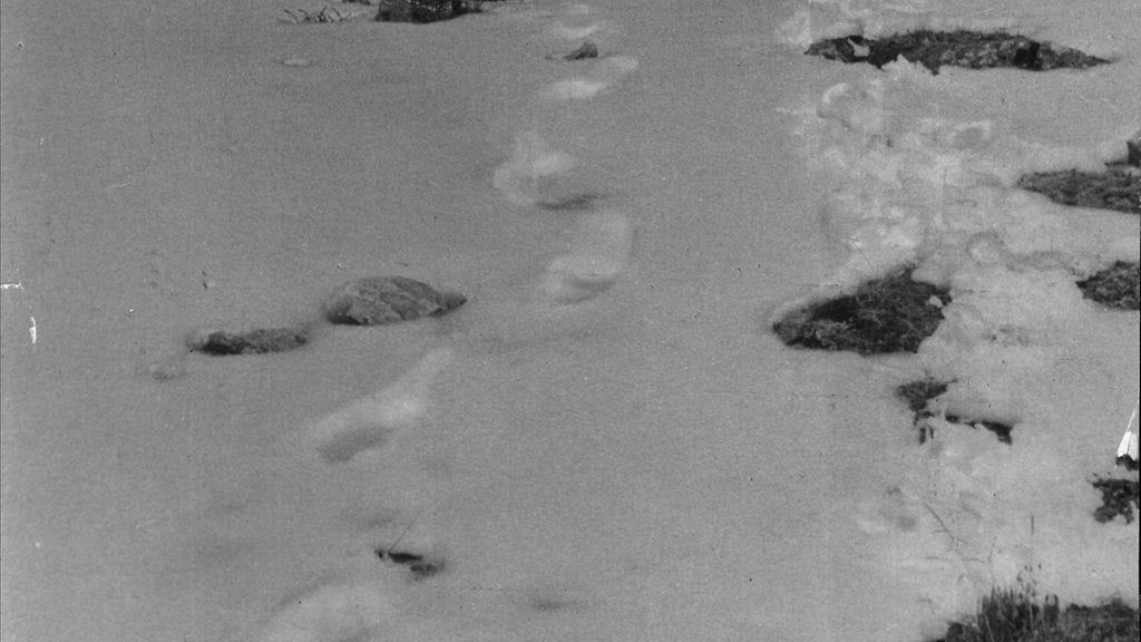 Nepalista on ennenkin väitetty löytyneen lumimiehen jalanjälkiä. Kuva on vuodelta 1954 brittilehti Daily Mailin järjestämältä, lumimiestä etsineen retikunnan matkalta. Myös näiden jälkien on suurella todennäköisyydellä todettu olevan karhun jälkiä.