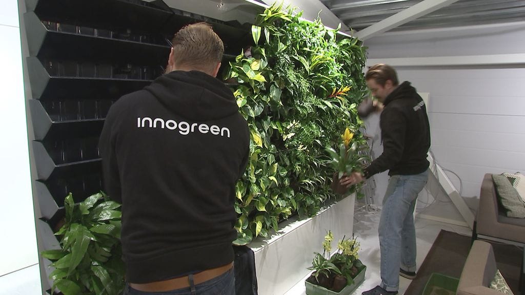 innogreen, viherseinä, asennus