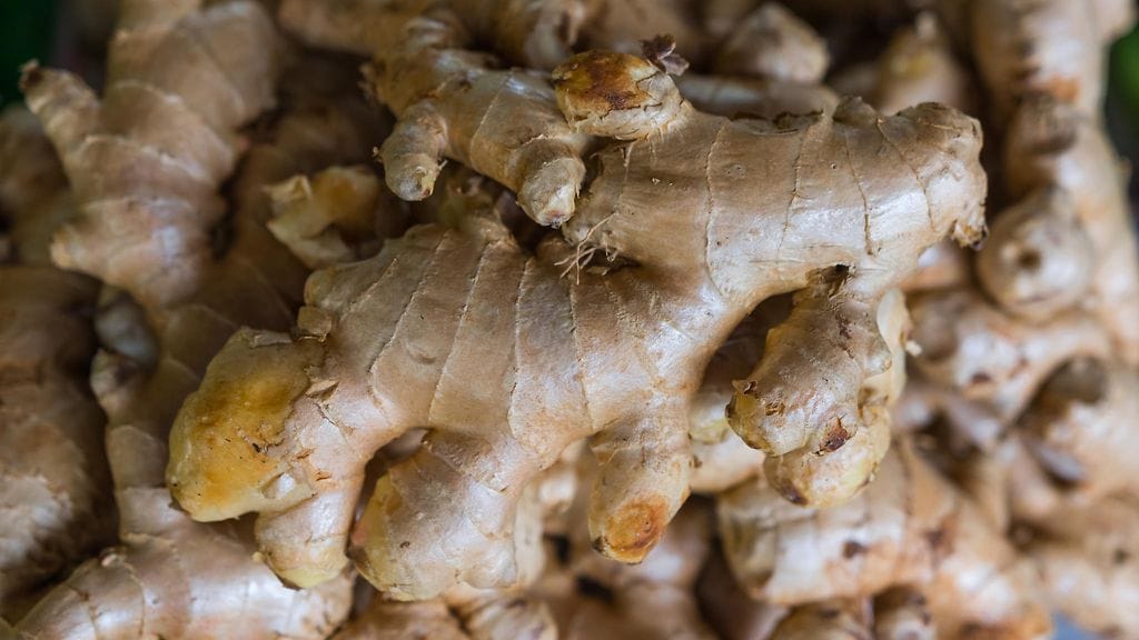 Figging ei ole uusi keksintö, vaan idea on kieränyt netissä jo vuosia.