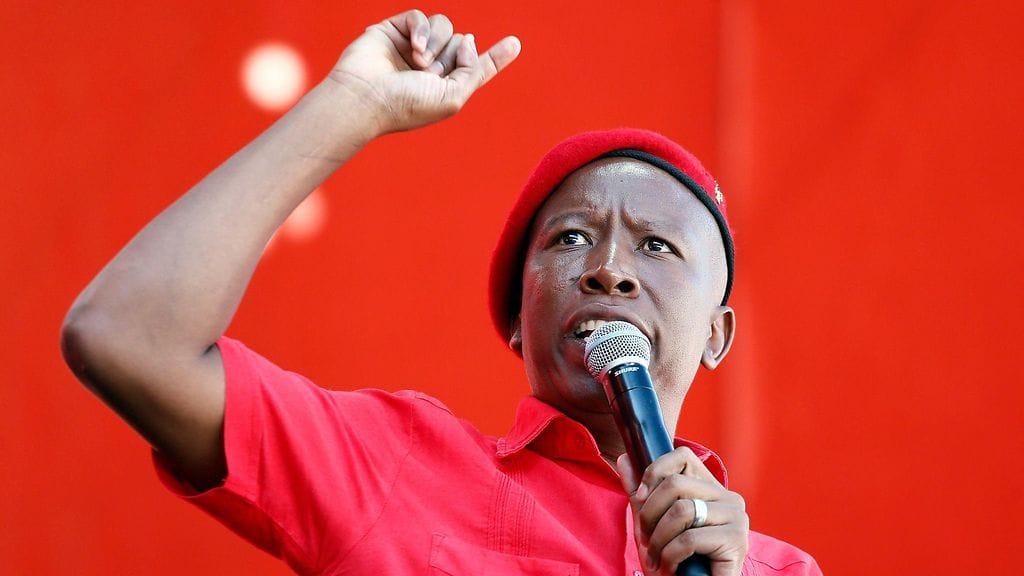 Vasemmistopopulistista EFF-puoluetta johtaa puheenjohtaja Julius Malema.