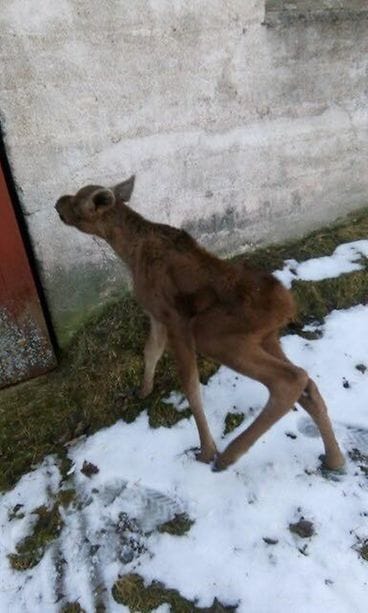 Kuva vain lifestylen juttuun 59745449_10157393337041349_348906006207528960_n