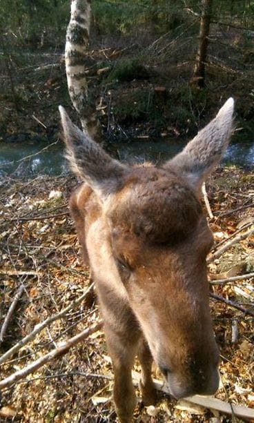 Kuva vain lifestylen juttuun 59533129_10157393335636349_9032459001085820928_n