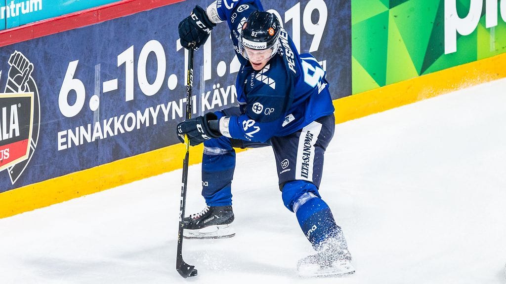 Harri Pesonen, Leijonat.