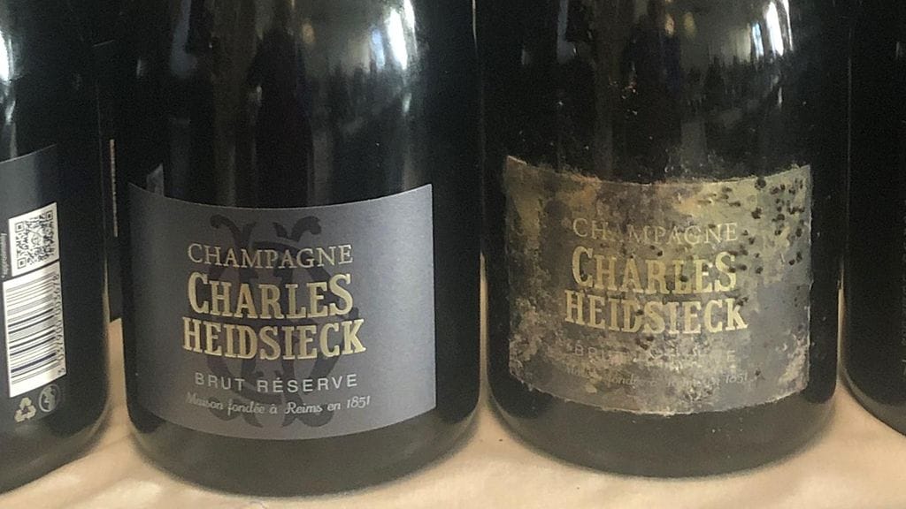 Luolasamppanja ja vakiosamppanja