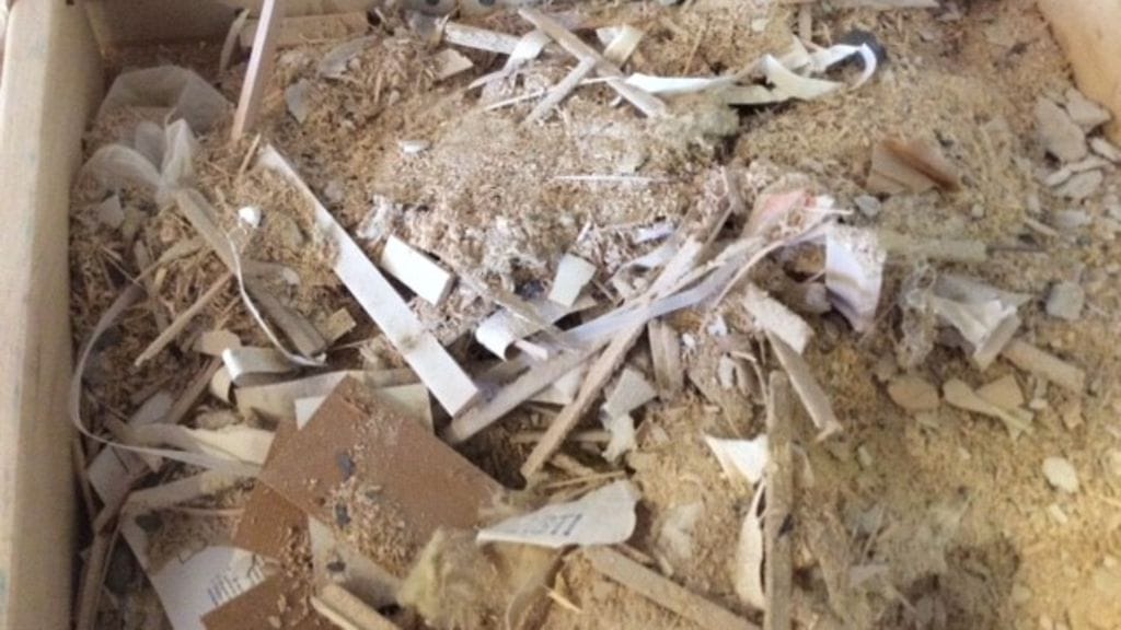 Päivi löysi yllätyksen keittiön kappien takaa: Sokkeli oli täynnä rakennusjätettä 1