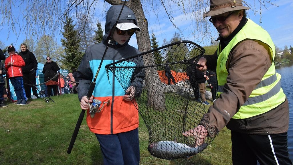 Kalastuspäivä, Jimi Harmuth, kirjolohi