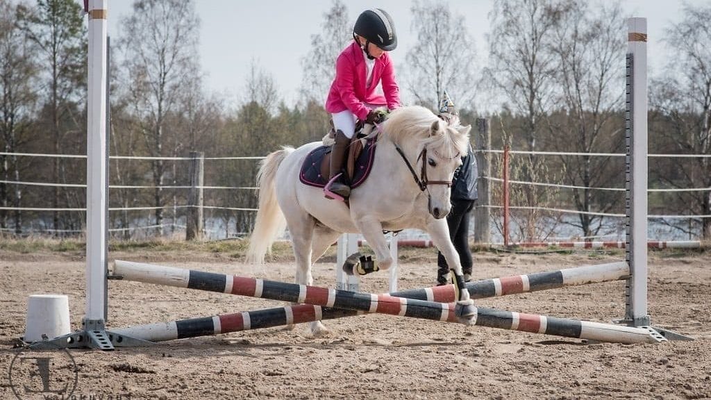 KUVA VAIN LIFESTYLEN ARTIKKELIIN Kuvannut Ellinoora Luokkakallio