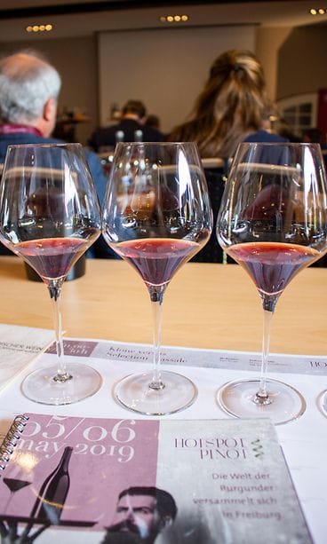 sivumaku baden_hotspotpinot_lasit