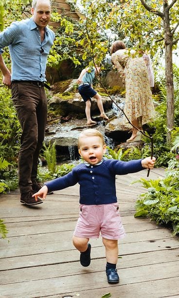 prinssi william prinssi louis (1)