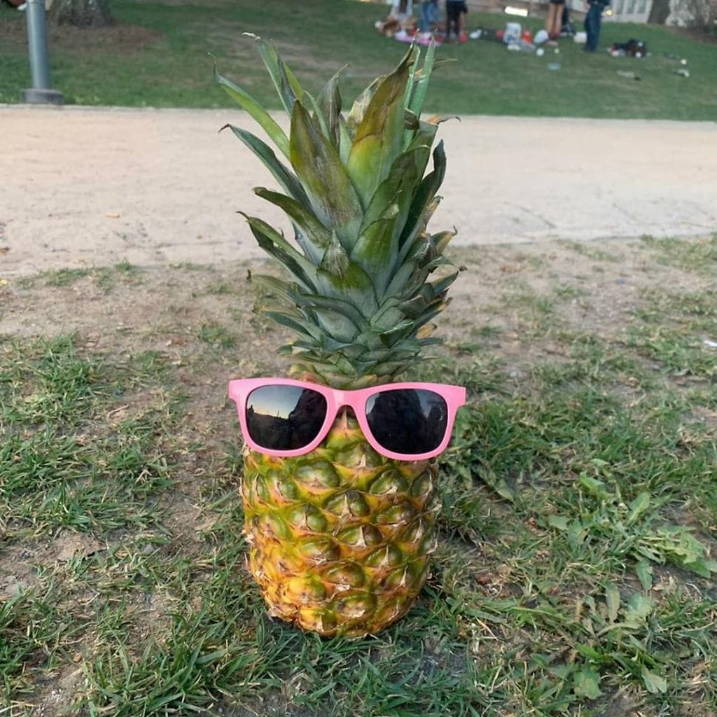 60936244_324244654897980_3672583202884550656_n