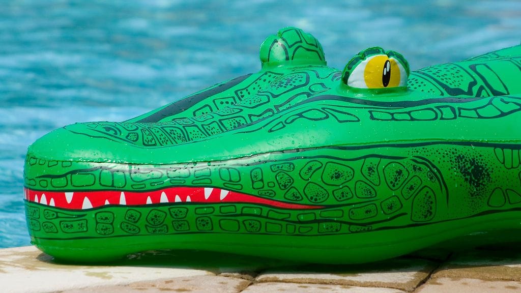 Kun georgialainen Dave Jacobs perheineen vuokrasi Airbnb-asunnon lomansa ajaksi, hän ei tiennyt saavansa "lomaseuraa" kaupan päälle. Kuvan uimapatja on tapaukseen syytön.