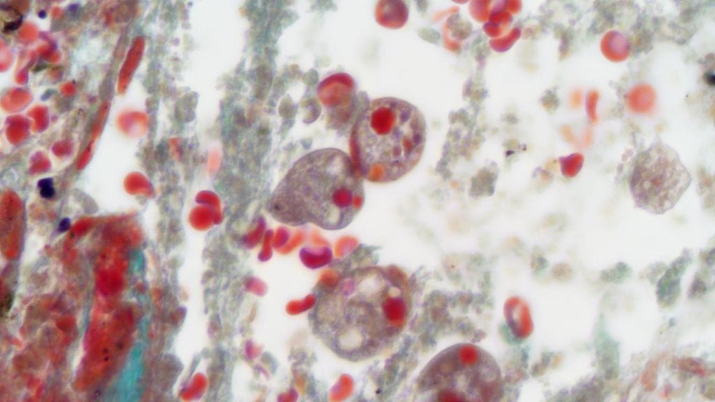 shutterstock_1193840701