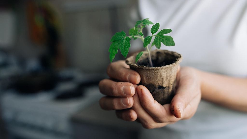 shutterstock_1040836381