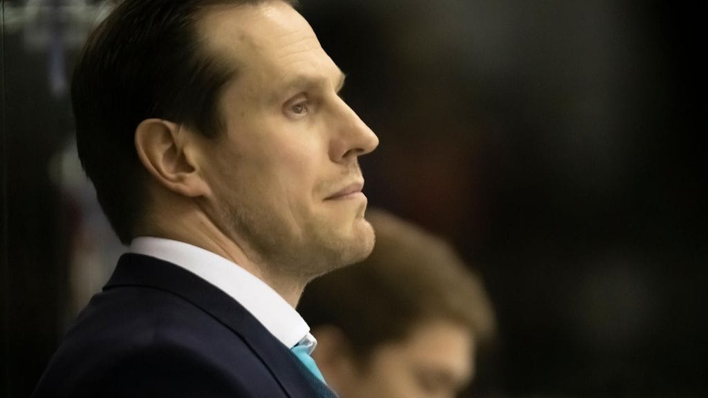 Ville Nieminen, Pelicans.