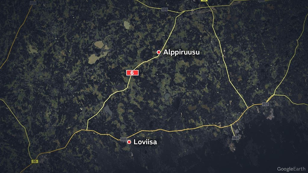 alppiruusu loviisa