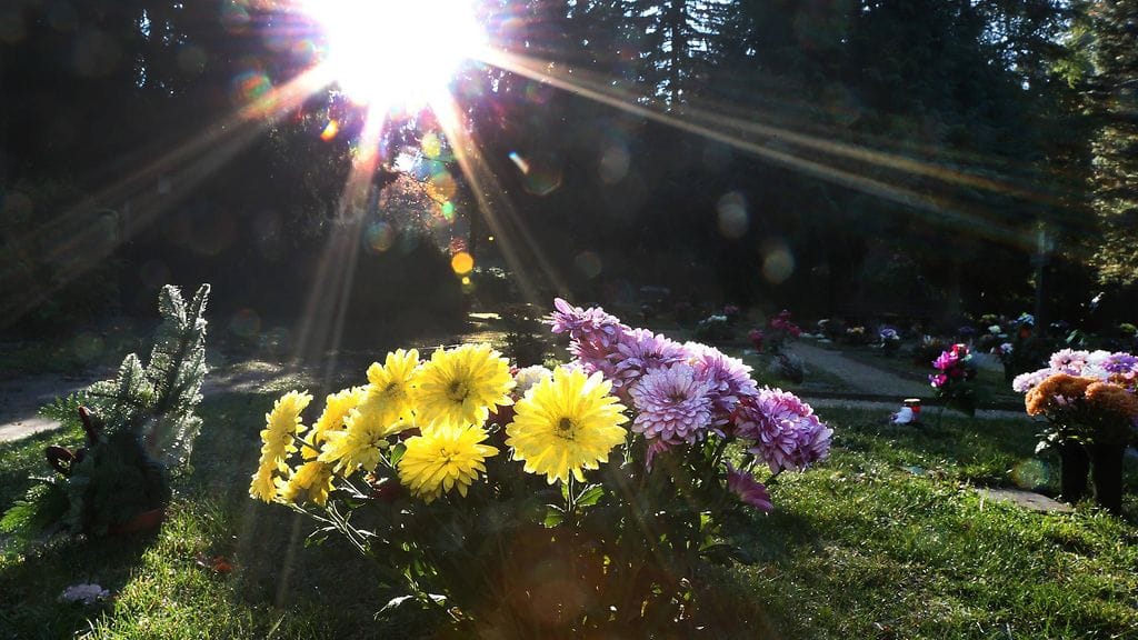 Eveliina Ylönen tunnettiin Queen of Eve -blogistaan.