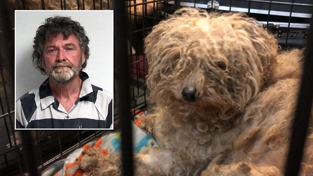 Pentutehtailija Reason Craig Gray piti pentuja niin pienissä laatikoissa, että ne joutuivat nukkumaan seisten. Pentulaatikot olivat myös ulosteiden peittämiä. Tämä koira on jo päässyt eläinsuojelujärjestön huomaan.