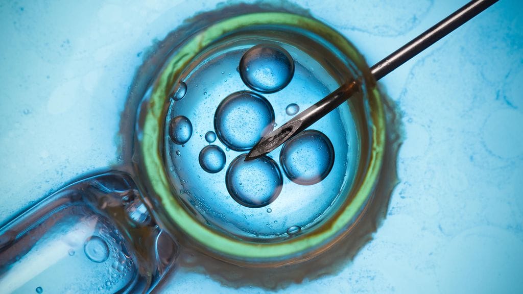 Stephen Hsu uskoo, että alkioiden älykkyyden testaaminen kiinnostaa esimerkiksi singaporelaisia vanhempia. Kuvituskuva.