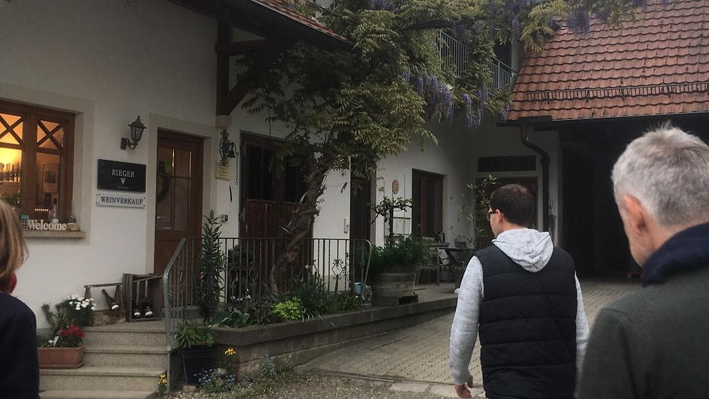 weingut-rieger-talo