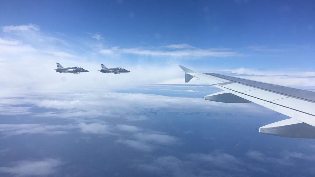 Hawk-saattue leijonat