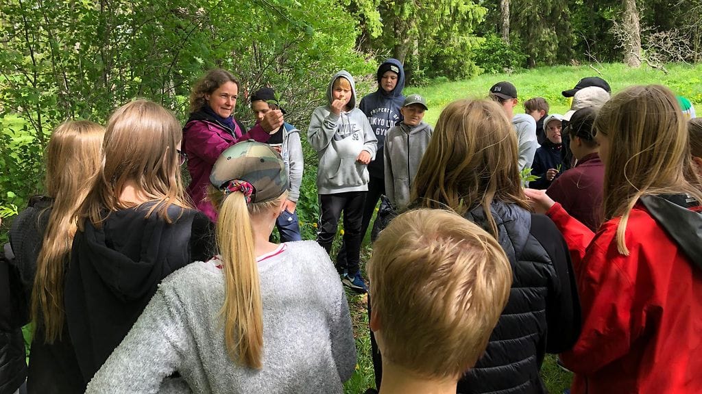 Sipoo, villiyrtit, koululaiset, opastus