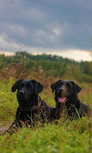 KUVA VAIN LIFESTYLEN JUTTUUN assi&leidi