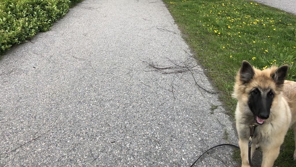 Kuopion Petonen miehen auttamispaikka