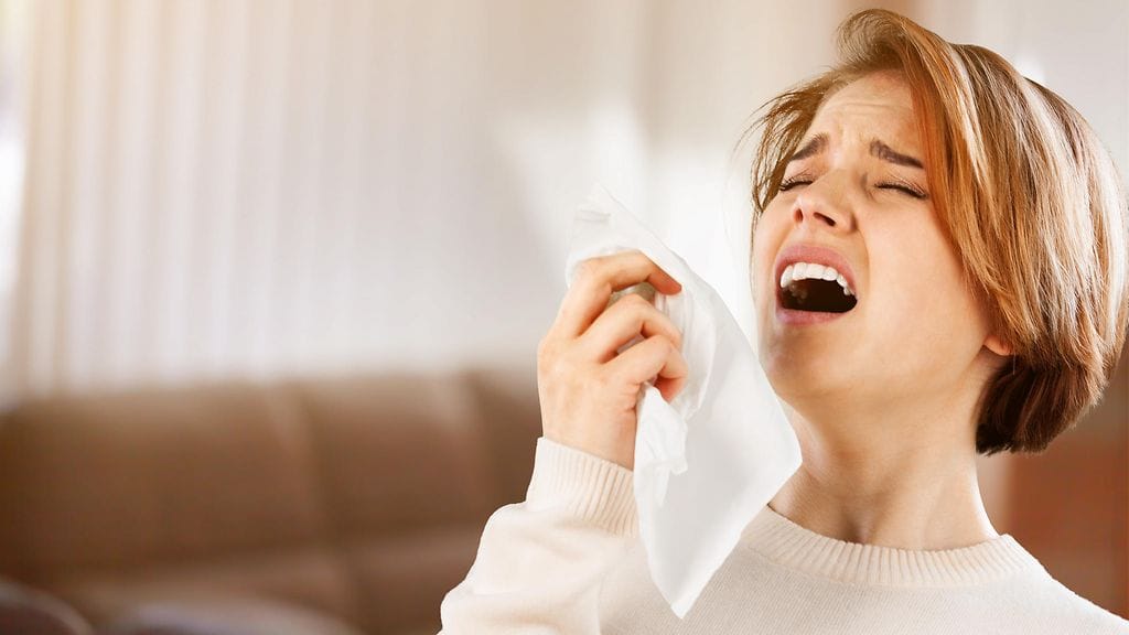 Osa ihmisistä kiihottuu aivastamisesta. Kuvituskuva.