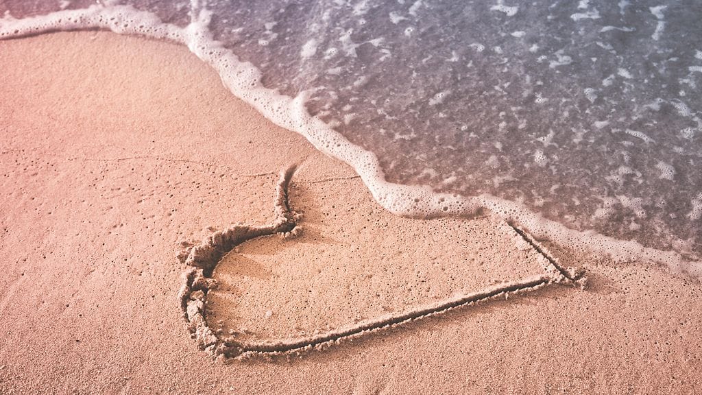 shutterstock_532786735