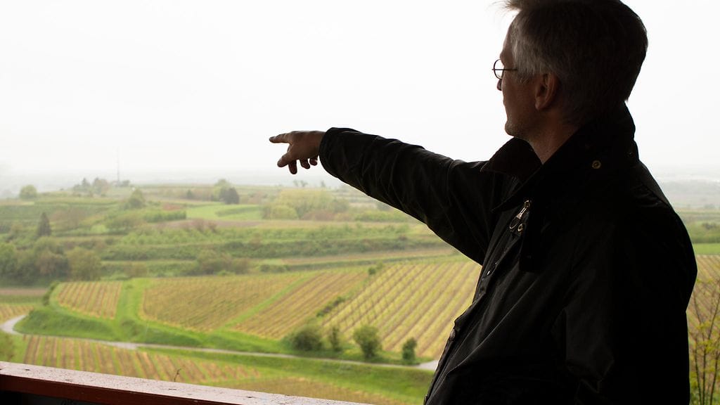 sivumaku-shelter-viinitarhat