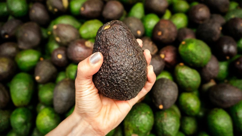 Mies uhkasi pankkivirkailijoita "kranaatilla", joka oli todellisuudessa mustaksi maalattu avokado. Kuvituskuva.