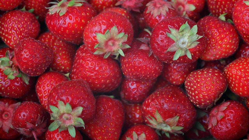 Ensimmäiset avomaan mansikat ovat jo kaupoissa, kertoo Hedelmän- ja marjankasvattajain liitto.