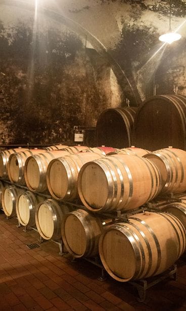 sivumaku-bercher-kellari