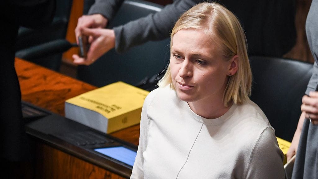 Kokoomuksen kansanedustaja Elina Lepomäki ilmoitti käyttäneensä 116 000 euroa vaalikampanjaansa.