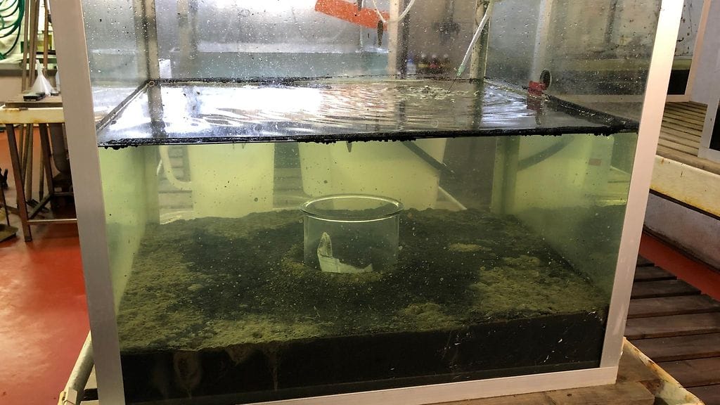 Mikromuovit, tutkimus