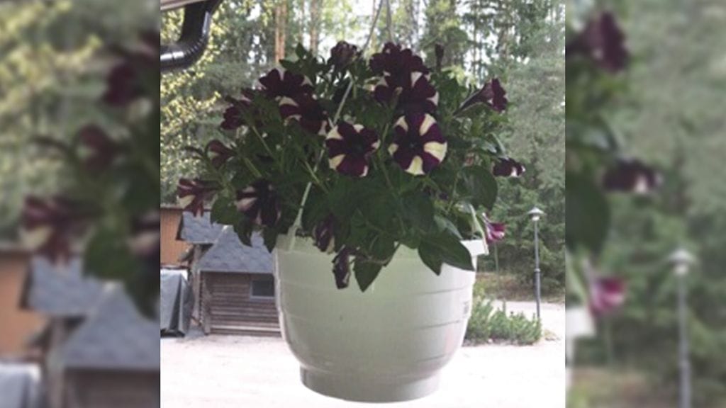 Järvenpää yllätys 2