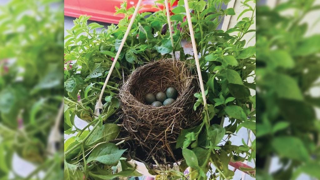 Järvenpää yllätys 3