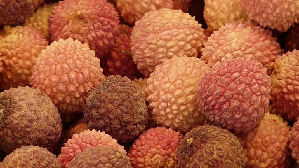 Litsien epäillään aiheuttaneen yli sadan lapsen kuoleman Intiassa.