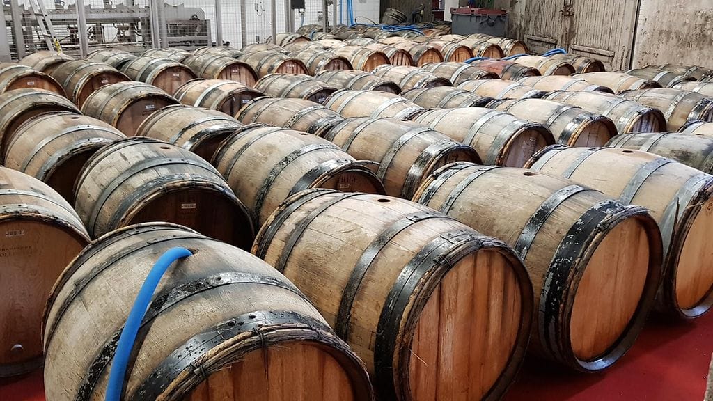 Bollingerin tammitynnyreitä