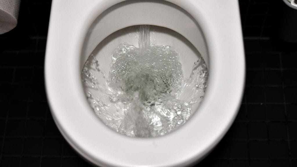 Viinat kelpasivat varkaalle, mutta vessanpytyn käyttö ei.