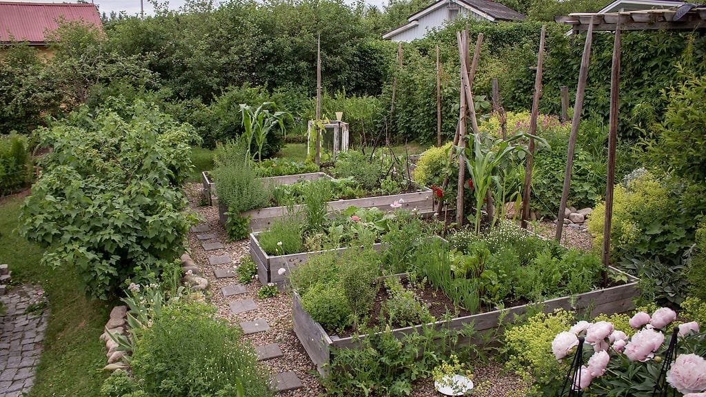 puutarha-sivumaku-kesakuu