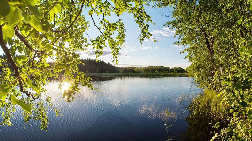 Kesä se on viileänäkin toimitettuna.