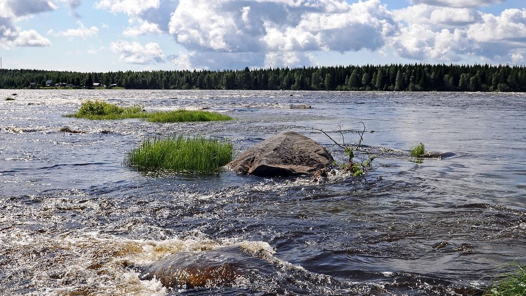 Viiden viime vuoden aikana Tornionjoen vesistöalueella ei ole todettu vaarallisia tarttuvia tauteja. Yhdeksi sairastumisen syyksi epäillään B1-vitamiinin puutosta.