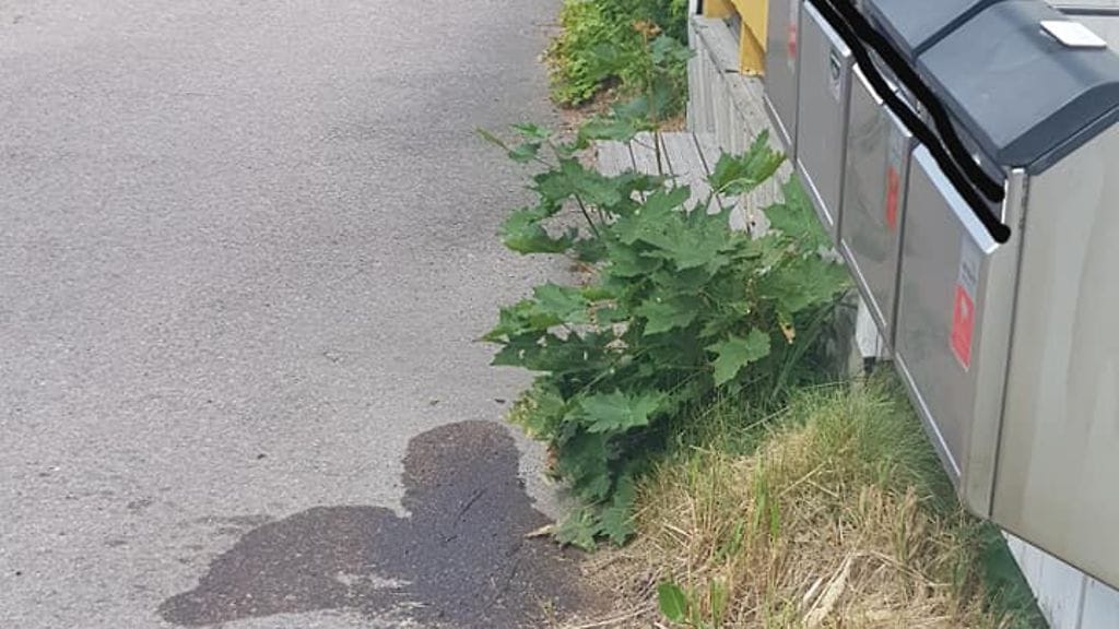 Perheenäidin mukaan postilaatikot oli yritetty sytyttää palamaan. Maassa näkyy bensiiniä.