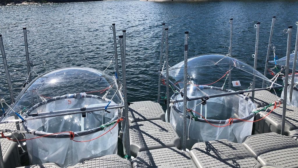 Tvärminne, tutkimus, tutkimussäkki